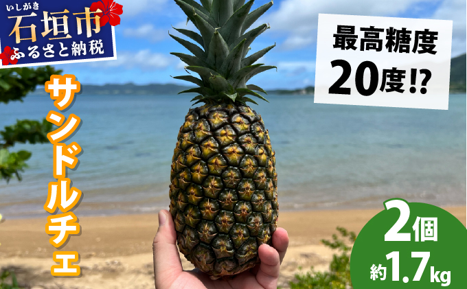 【先行予約2026年6月下旬頃から順次発送】最高糖度20度！？クリーミーな味わいが魅力の石垣島産完熟サンドルチェ 2個セット