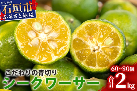 【先行予約】 ≪2026年8月以降順次発送≫こだわりの青切りシークワーサー 2kg 約60～80個 【 産地直送 沖縄 石垣島 石垣 八重山 シークワーサー 柑橘 フルーツ くだもの 果物 】TF-008 2kg 約60～80個