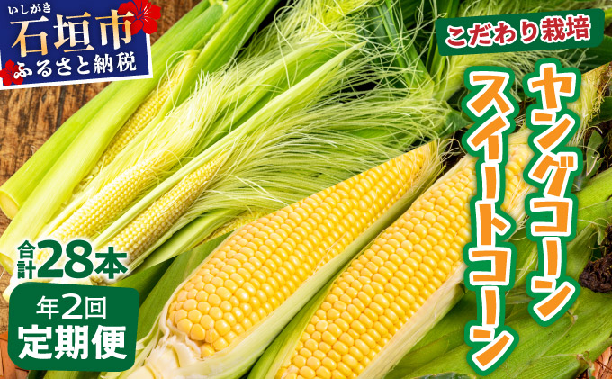 【先行予約2026年1月-5月配送】1番遅くて1番早い_ プレミアムヤングコーンとスイートコーンのよくばり定期便！！朝採れを皮付きのままお届け！！