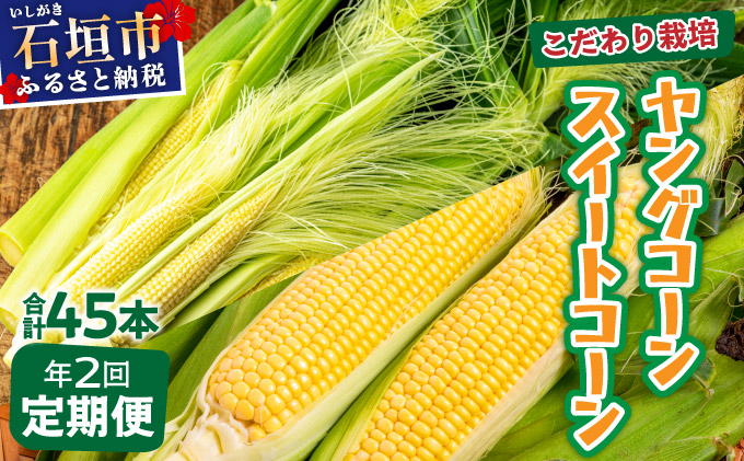 【先行予約2025年1月-5月配送】1番遅くて1番早い_ プレミアムヤングコーンとスイートコーンのよくばり定期便！！朝採れを皮付きのままお届け！！