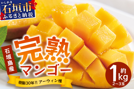 2026年発送分【先行予約】石垣島産《樹齢30年》マンゴー (アーウィン種) 約1kg(2～3玉) 《2026年7月以降より順次発送》石垣さんちの石垣トロピカルファーム TP-1 約1kg（2～3玉）