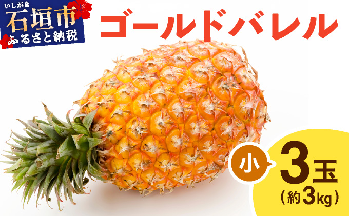 ≪5月上旬順次発送≫ ゴールドバレル 小 3玉（約3kg） TP-15