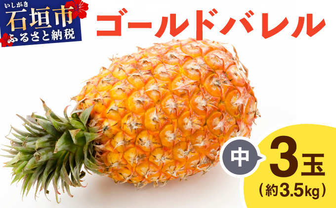 ≪5月上旬順次発送≫ ゴールドバレル 中 3玉（約3.5kg） TP-16