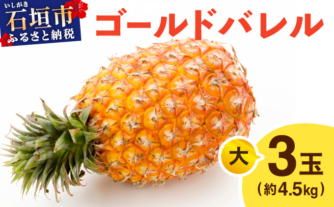 ≪5月上旬順次発送≫ ゴールドバレル 大 3玉（約4.5kg） TP-17