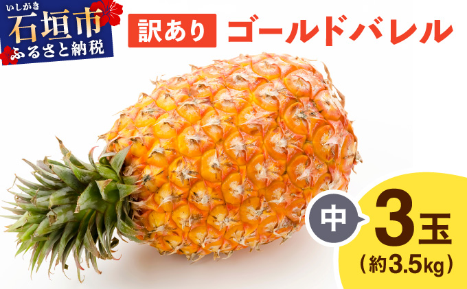 ≪5月上旬順次発送≫ 訳あり石垣島産パイナップル ゴールドバレル 中 3玉（約3.5kg） TP-19