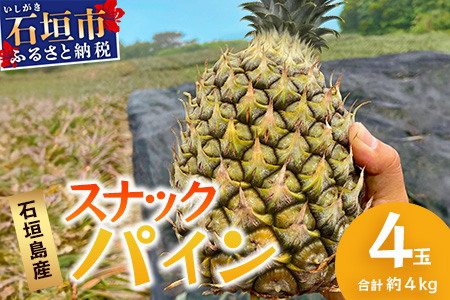 【先行予約】《2026年5月上旬頃より順次発送》石垣島産 スナックパイン (4玉 約4kg) 【 産地直送 沖縄 石垣 パイナップル フルーツ 】TP-8-1 4玉（約4kg）