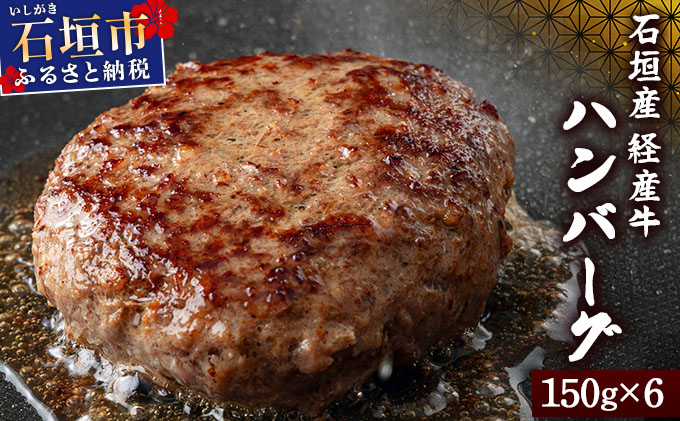 【2026年3月発送】石垣産経産牛ハンバーグ150g×6/箱 YC-08-03