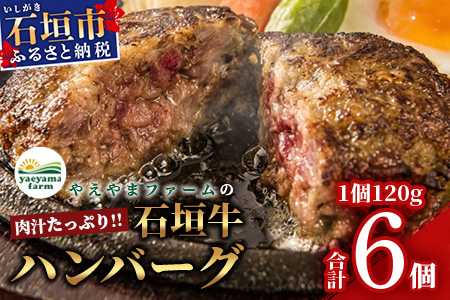 やえやまファームの石垣牛ハンバーグ 6個セット E-27