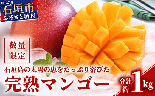 【2026年発送 予約受付分】石垣島のマンゴー 約1kg HI-1