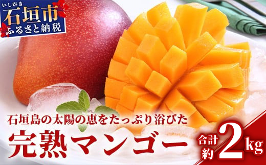 【2026年発送 予約受付分】石垣島のマンゴー 約2kg  HI-2