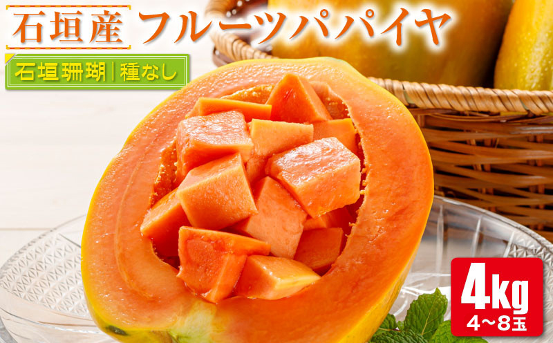 フルーツパパイヤ4kg ZH-14