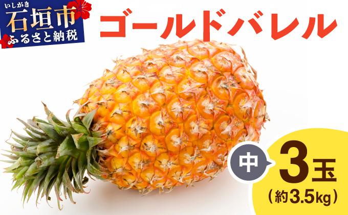 ≪5月上旬順次発送≫ゴールドバレル 中 3玉（約3.5kg） TP-16 ゴールドバレル 中 3玉（約3.5kg）