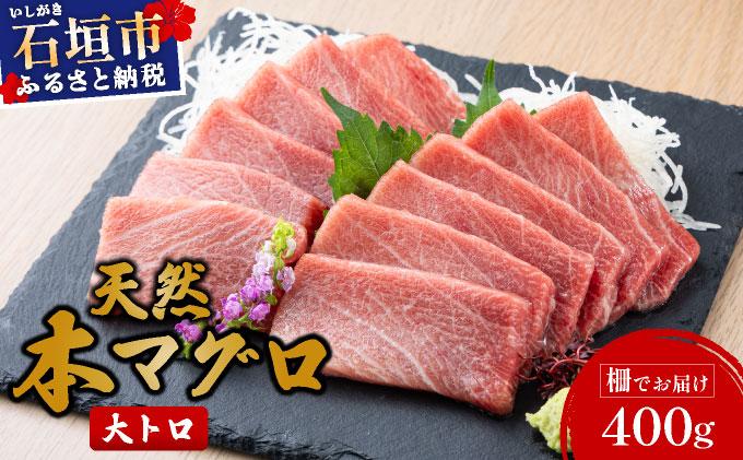 ＜寄付額改定＞石垣島産 天然本マグロ 大トロ 約400g ヤエスイ マグロ船直送【順次発送】 | 産地直送 大トロ 大とろ 国産 まぐろ 鮪 天然 赤身 魚 お刺身 本まぐろ マグロ 沖縄県 沖縄 琉球 八重山 八重山諸島 石垣島 石垣 石垣島産 大トロ約400g