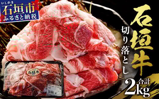 石垣牛・切り落とし ２kg (1kg×2) 冷凍便 | 沖縄県 石垣市 牛肉 お肉 切落し 小間切れ 牛小間切れ SI-89