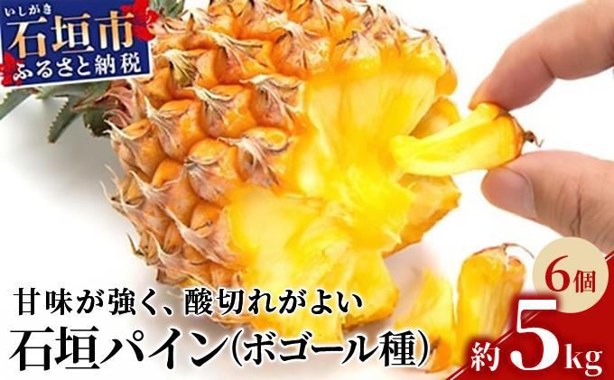 ＜先行受付＞ 石垣パイン 6個セット ボゴール種 ＜2026年5月初旬以降発送＞ | パイナップル パインアップル 石垣島パイン フルーツ 果物 くだもの 南国フルーツ 国産パイン MI-005 6個セット（約5kg）