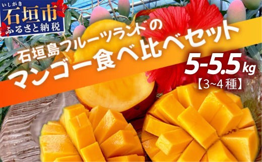 【先行予約】産地直送！石垣島産 マンゴー 食べ比べセット4～4.5kg (３～４種) (2024年6月中旬～8月下旬発送) IF-8 約5~5.5kg (3～4種)