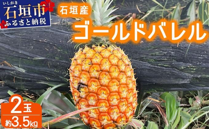 ＜先行予約＞ 農家直送！石垣島産 ゴールドバレル 2個セット 約3.5kg ＜2026年4月中旬発送＞ | パイナップル パイン 沖縄県 石垣市 石垣島 南国 フルーツ 果物 季節限定 YE-003