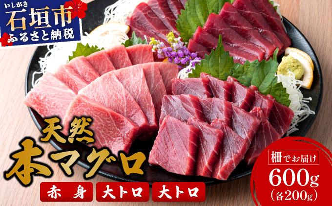 【数量限定】石垣島産 天然本マグロ 600g (まぐろ赤身・中トロ・大トロのミックスセット) ヤエスイ マグロ船直送 ＜2025年6月下旬より発送＞ | 産地直送 大トロ 大とろ 中トロ 中とろ 国産 まぐろ 鮪 天然 赤身 魚 お刺身 本まぐろ マグロ 沖縄県 沖縄 琉球 八重山 八重山諸島 石垣島 石垣 石垣島産 <先行予約>天然本マグロ3種セット