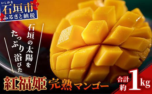 【2026年発送 先行予約】「紅福姫ブランド」石垣島のマンゴー 約1kg 【沖縄県 石垣市 産地直送 旬 石垣島産 マンゴー 完熟マンゴー アーウィン種マンゴー】OT-04 約1kg
