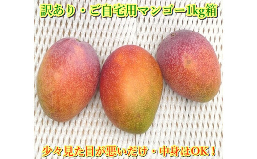 ＜先行予約＞ 石垣島産 《訳あり・ご自宅用マンゴー》 約1kg エコ箱入り (2～4個入り) ＜2026年7月中旬以降発送＞ | マンゴー 沖縄 石垣 規格外 SI-029