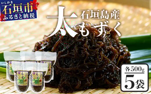 石垣島産 八重山地方で育った養殖もずく5パック・内容量500g×5 合計2.5kg【 沖縄県 石垣市 養殖 水雲 海藻 もずく フコイダン  塩もずく 太もずく 沖縄もずく】SI-71