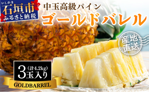 ＜先行予約＞ 石垣島産 中玉ゴールドバレル３玉 約4.2kg ＜2026年7月以降発送＞ | 産地直送 沖縄 石垣 フルーツ パイナップル パイン ゴールドバレルパイン SI-114 【中玉】3玉入り（計約4.2kg）