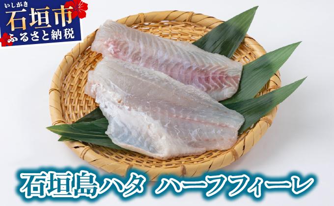 石垣島 ハタ ハーフフィーレ | 勝水産 ミーバイ ヤイトハタ 沖縄県石垣市 石垣 沖縄 石垣市 石垣島 KS-15 ハーフフィーレ