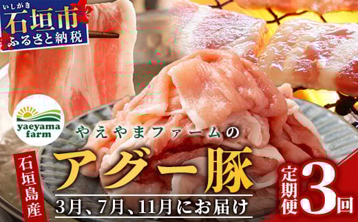 【3回定期便】石垣島産 やえやまファームのアグー豚の 3回定期便（3月、7月、11月お届け）｜南ぬ豚 アグー豚 焼肉 食べ比べ 豚肉 石垣 石垣島 沖縄 八重山 やえやまファーム  E-30-1