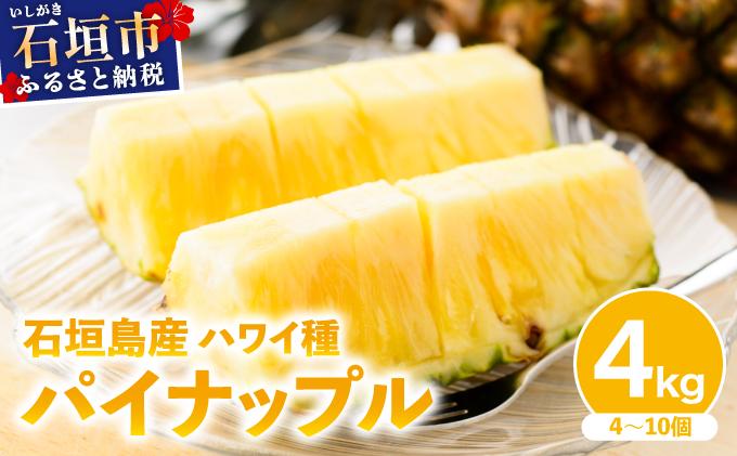 【2026年4月中旬発送】訳あり 石垣島産 ハワイ種パイナップル 約4kg（4～10個）KP-02 | ふるさと納税 パイナップル 産地直送 フルーツ 果物 パイン 石垣 沖縄 沖縄県石垣市 石垣島 ハワイ種 約4kg