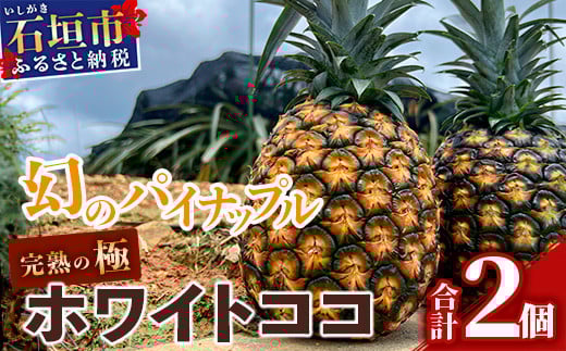 ひとつひとつ丁寧に玉吊りを行い、熟するときを迎えるまで丁寧に管理をします。