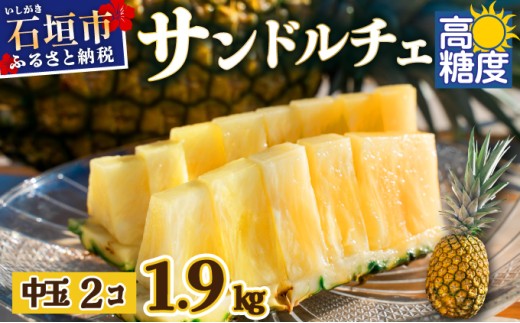 【先行予約】石垣島産 中玉サンドルチェ２玉 合計約1.9kg《2025年夏季 順次発送》【 沖縄 石垣 フルーツ パイナップル パイン サンドルチェ 産地直送 】SI-106 中玉 2個