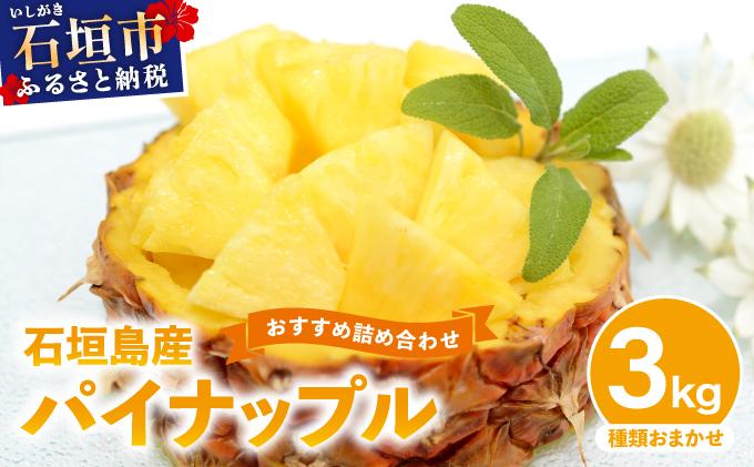 石垣島産パイナップル 2～6個 約3kg 《2026年4月下旬発送》 | ふるさと納税 パイナップル 産地直送 フルーツ 果物 沖縄県石垣市 石垣 沖縄 石垣市 石垣島 KP-14