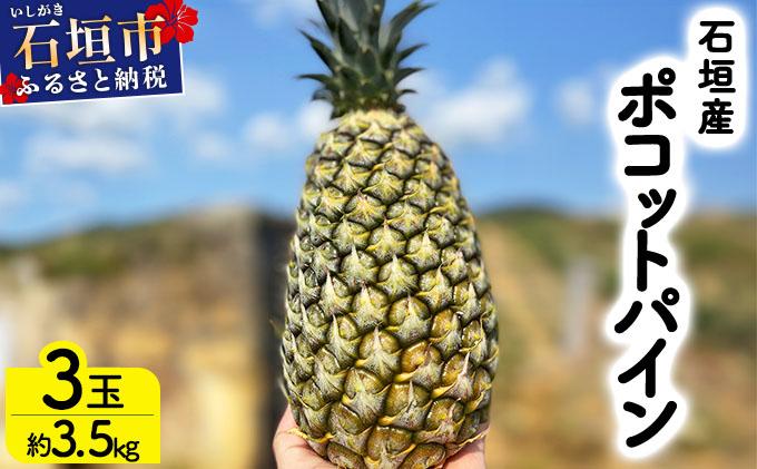 ＜先行予約＞ 農家直送！石垣島産 ポコットパイン 3個セット 約3.5kg ＜2026年3月下旬発送＞ | パイナップル パイン 沖縄県 石垣市 石垣島 南国 フルーツ 果物 季節限定 YE-002