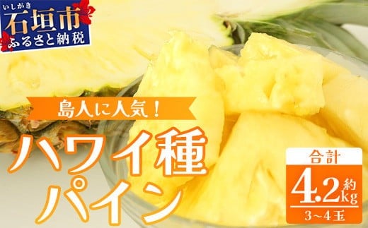 【先行予約】《2026年7月上旬頃より順次発送》石垣島産 ハワイ種パイン 3～4玉セット 約4.2㎏【 産地直送 石垣島産 石垣 完熟 パイン パイナップル 】TD-7