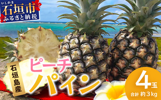 【先行予約】《2026年5月上旬頃より順次発送》石垣島産 ピーチパイン (4玉 約3㎏) 【 産地直送 沖縄 石垣 パイナップル フルーツ 】 TP-11 4玉　約3kg