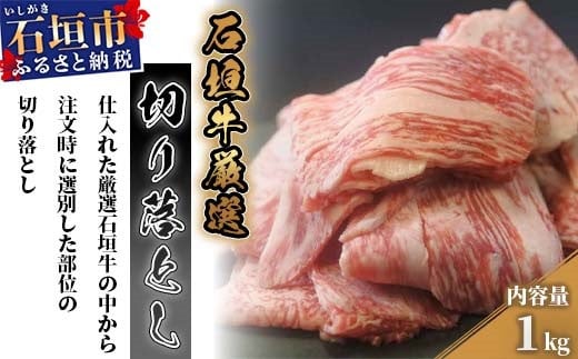 厳選石垣牛切り落とし1kg　I-14 