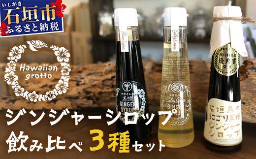 ジンジャーシロップ飲み⽐べ3種セット(120ML×3本) HW-1 【沖縄県石垣市 沖縄 沖縄県 琉球 八重山 八重山諸島 石垣 石垣島 送料無料 ⽯垣島産⽣姜 生姜 シロップ ジンジャー ジンジャーシロップ グラニュー糖 黒糖 砂糖 ⾚唐⾟⼦ 果汁 塩 ⽯垣の塩 レモングラス レモン フルーツ ミント  ギフト 国産】