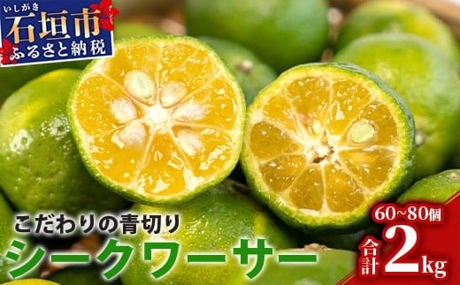 【先行予約】≪2026年8月以降順次発送≫こだわりの青切りシークワーサー 2kg 約60～80個 【 産地直送 沖縄 石垣島 石垣 八重山 シークワーサー 柑橘 フルーツ くだもの 果物 】TF-008 2.0kg