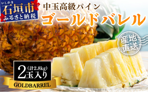 ＜先行予約＞ 石垣島産 中玉ゴールドバレル ２玉 約2.8kg ＜2026年7月以降発送＞ | 産地直送 沖縄 石垣 フルーツ パイナップル パイン ゴールドバレルパイン SI-113 【中玉】2玉入り（計約2.8kg）