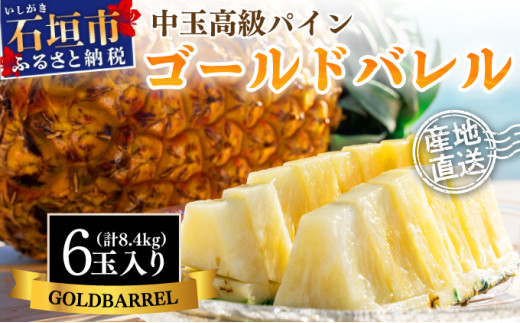 ＜先行予約＞ 石垣島産 中玉ゴールドバレル６玉 約8.4kg ＜2026年7月以降発送＞ | 産地直送 沖縄 石垣 フルーツ パイナップル パイン ゴールドバレルパイン SI-116 【中玉】6玉入り（計約8.4kg）