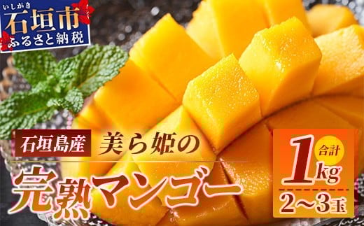 ［予約受付］美ら姫マンゴー1kg（完熟・アーウィン種）≪2026年7月中旬～順次発送≫【 産地直送 沖縄県 石垣市 マンゴー フルーツ 果物 南国 石垣島 】CB-1 1kg