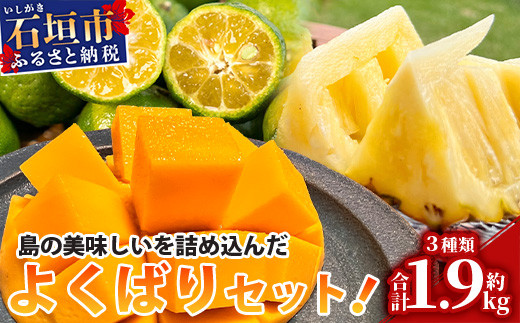 《2024年6月下旬～7月末発送》【先行予約】島の美味しい詰め込んだよくばりセット！【 産地直送 沖縄 石垣島 石垣 八重山 マンゴー、パイナップル、シークワーサー フルーツ くだもの 果物 】TF-9