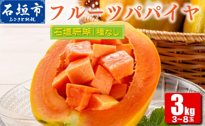 フルーツパパイヤ 3kg | パパイヤ フルーツパパイヤ 果物 くだもの フルーツ 果実 国産  沖縄県 沖縄 石垣 石垣島 石垣市 3kg