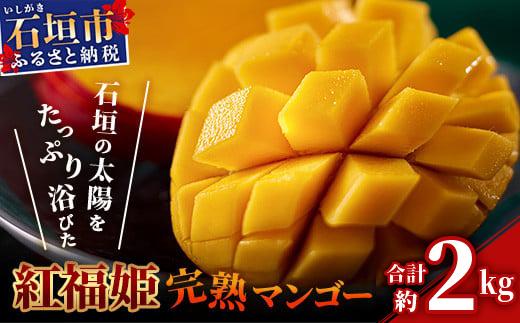 【2026年発送 先行予約】「紅福姫ブランド」石垣島のマンゴー 約2kg 【沖縄県 石垣市 産地直送 旬 石垣島産 マンゴー 完熟マンゴー アーウィン種マンゴー】OT-05 約2kg