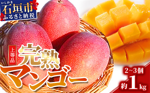 石垣島産・完熟マンゴー 約1kg エコ箱入り （2～3個入り）