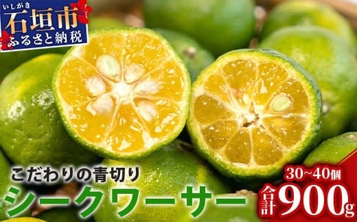 【先行予約】≪2026年8月以降順次発送≫ こだわりの青切りシークワーサー 900g 約30～40個 【 産地直送 沖縄 石垣島 石垣 八重山 シークワーサー 柑橘 フルーツ くだもの 果物 】TF-007 900g