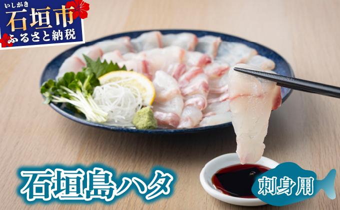 石垣島 ハタ 販売記念お試しお刺身用 | 勝水産 ミーバイ ヤイトハタ 沖縄県石垣市 石垣 沖縄 石垣市 石垣島 KS-16 お試しお刺身用
