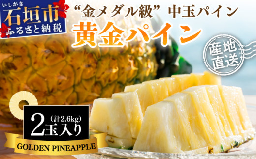＜先行予約＞ 石垣島産 黄金パイン 中玉 2玉 約2.6kg ＜2026年7月以降発送＞【 産地直送 沖縄 石垣 フルーツ パイナップル パイン 黄金パイン 】 SI-120 中玉 2玉 約2.6kg