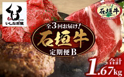 【全３回 定期便B】 石垣牛　切り落としスライス・ハンバーグ・肩ロースすきしゃぶ　計1.67kg（いしなぎ屋）【 特選肉 肉 高級 黒毛和牛 和牛 牛 】AB-30