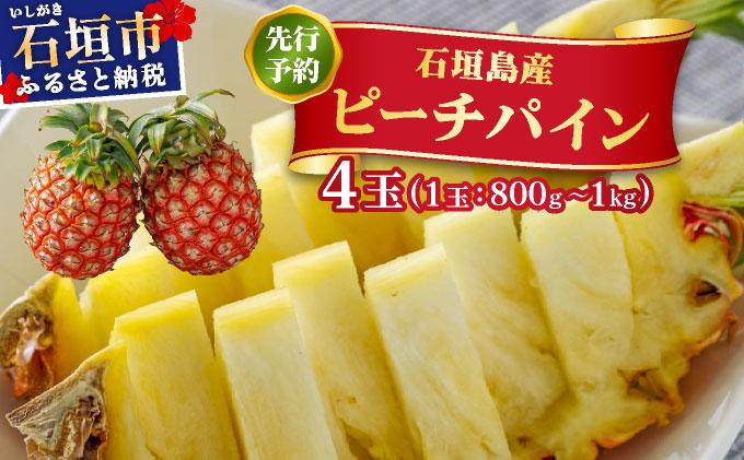 ＜先行予約＞ ピーチパイン 4玉 ＜2026年4月発送＞ | 沖縄県 石垣市 石垣島産 パイン パイナップル ZH-017